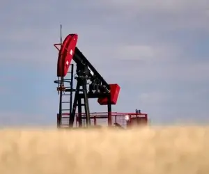 Цена нефти