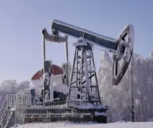Цена нефти на бирже сегодня